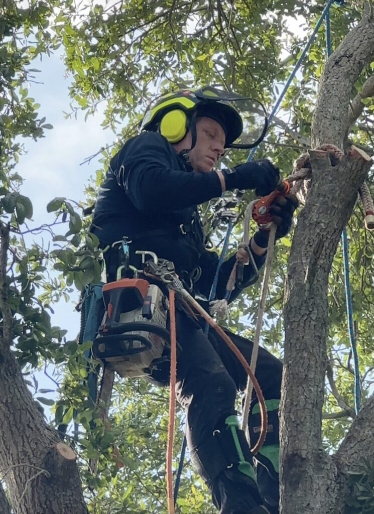ISA Certified Arborist in Pompano Beach Florida